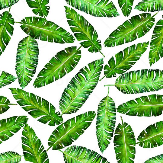 热带华亿平台印花华亿平台图片