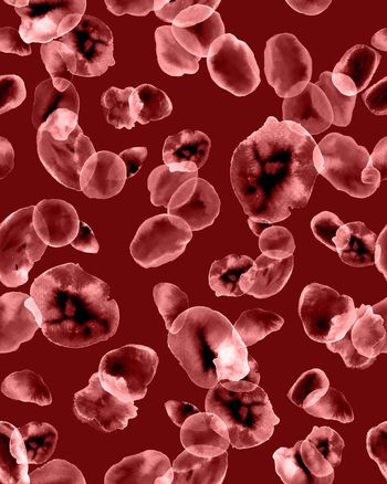 1071407-ADCSSD1018-2