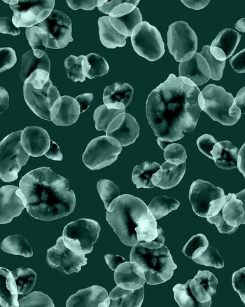 1071410-ADCSSD1018-4