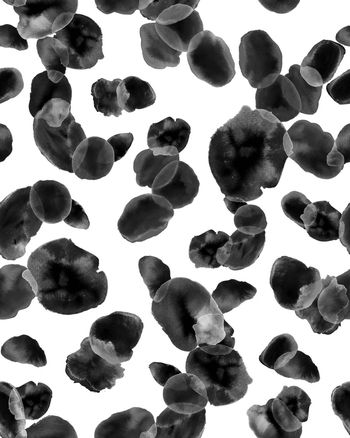 1071411-ADCSSD1018-5