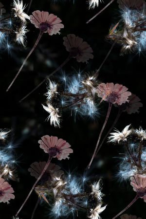 数码华亿平台印花华亿平台图片