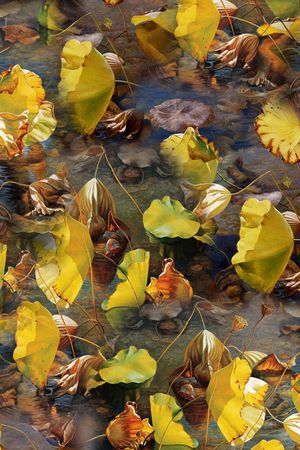 手绘花卉印花华亿平台图片