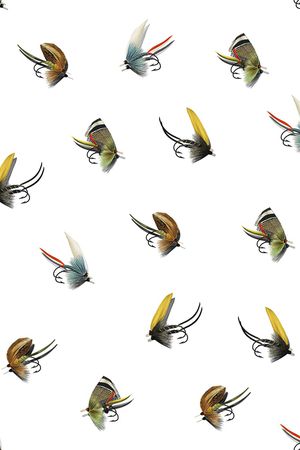 昆虫印花华亿平台图片