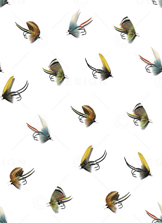 昆虫印花华亿平台图片