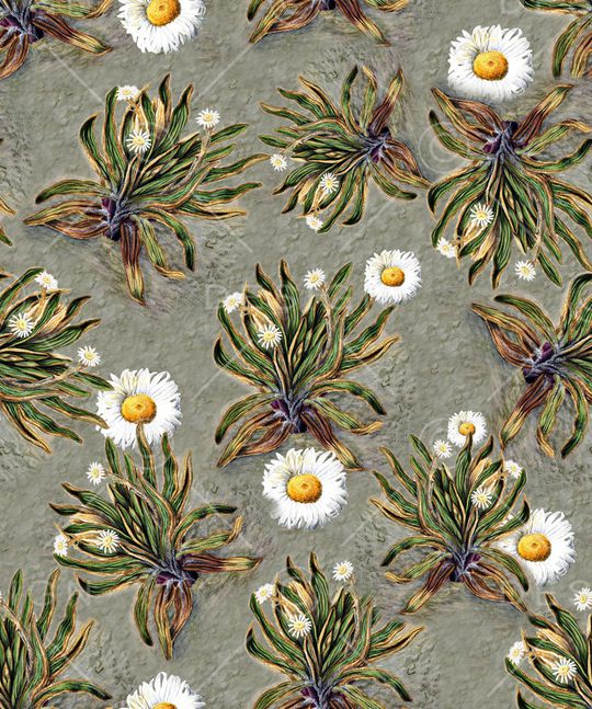 菊花印花华亿平台图片