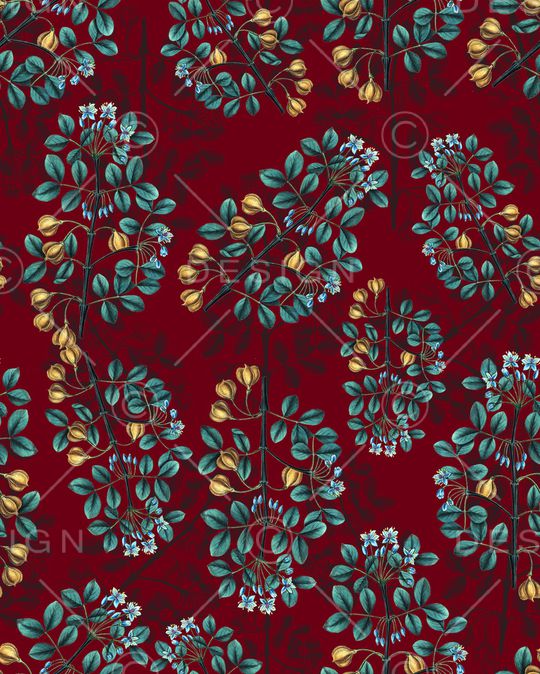 女装印花华亿平台图片