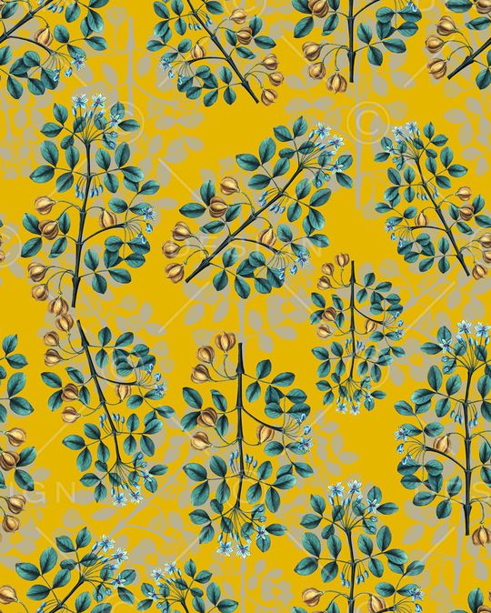 女装印花华亿平台图片