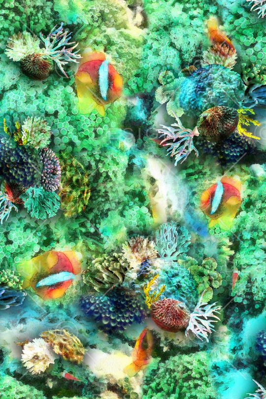 炫彩印花华亿平台图片