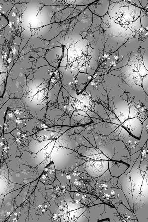 玉兰花印花华亿平台图片