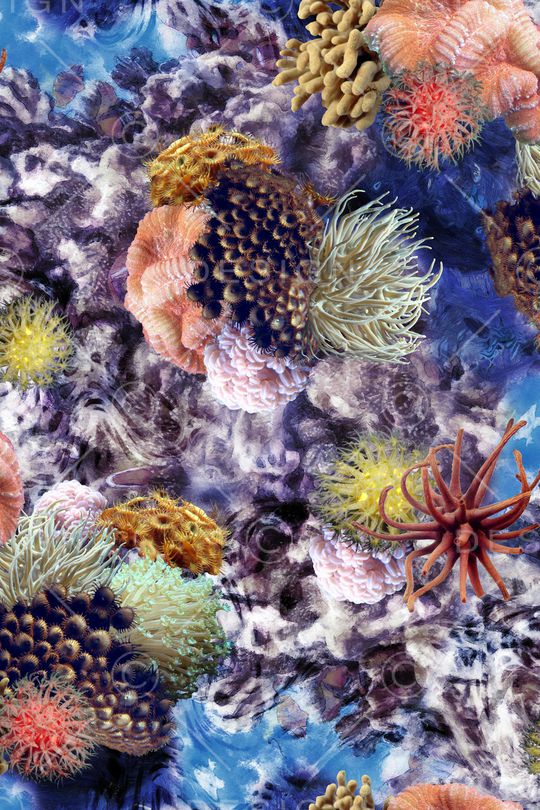 珊瑚印花华亿平台图片