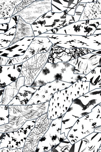 黑白华亿平台印花华亿平台图片