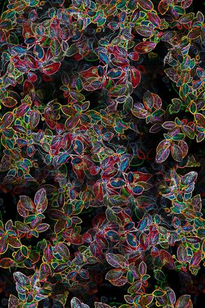 数码华亿平台印花华亿平台图片