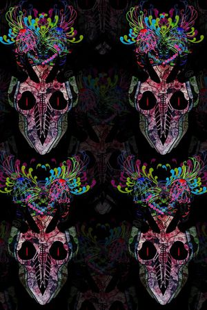 骷髅印花华亿平台图片