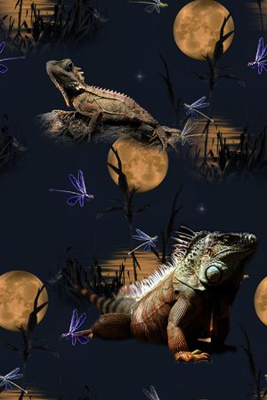 卡通印花华亿平台图片