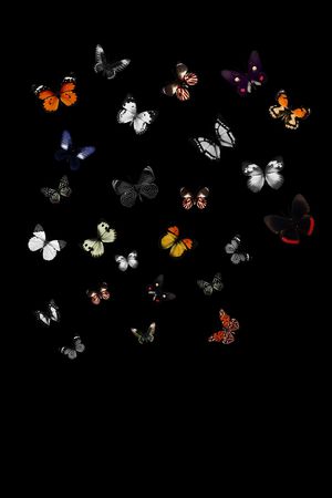 大牌男装印花华亿平台图片