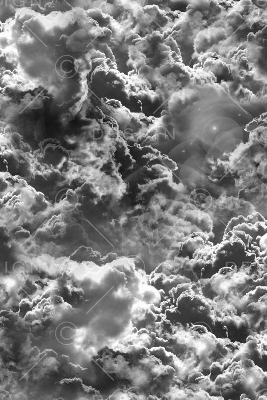 男装印花华亿平台图片