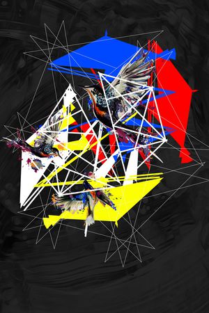 鸟印花华亿平台图片