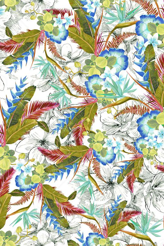 棕榈树印花华亿平台图片