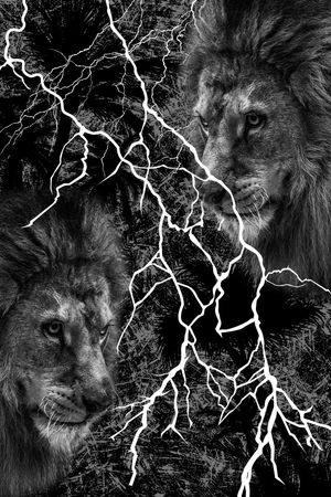 抽象印花华亿平台图片