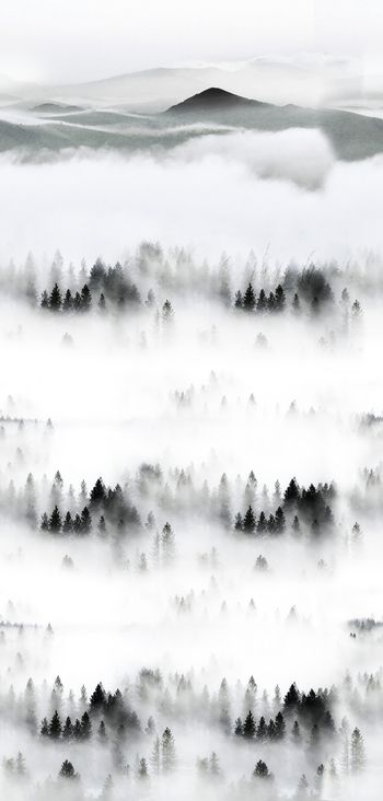 树林印花华亿平台图片