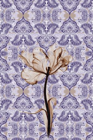 民族风印花华亿平台图片