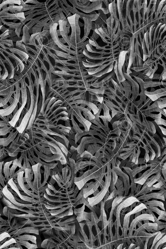 肌理印花华亿平台图片