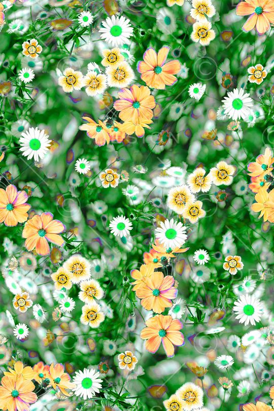 彩底花卉印花华亿平台图片