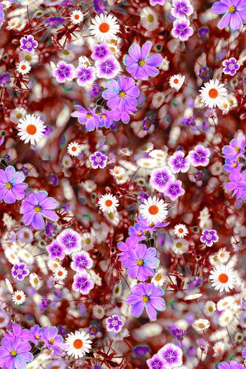 1075826-FLZ18-6-4.....