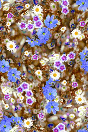 1075829-FLZ18-6-4...