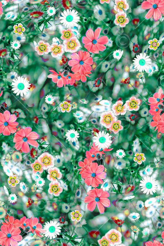 彩底花卉印花华亿平台图片