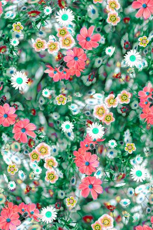 彩底花卉印花华亿平台图片