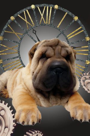 衬衫印花华亿平台图片