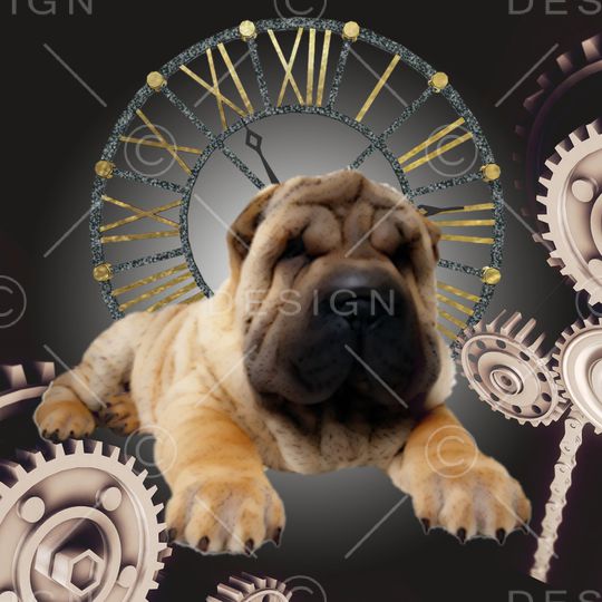 衬衫印花华亿平台图片