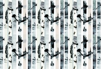 黑白条纹印花华亿平台图片