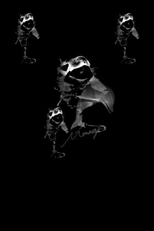 艺术印花华亿平台图片