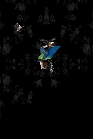 创意印花华亿平台图片