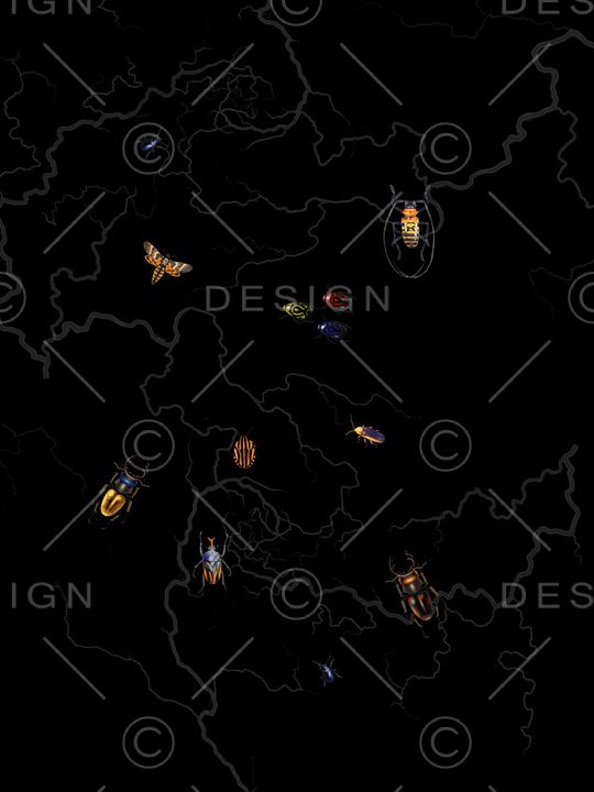 艺术印花华亿平台图片