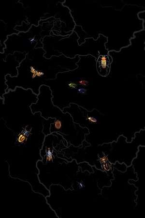 艺术印花华亿平台图片