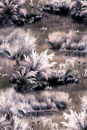 鸟印花华亿平台图片