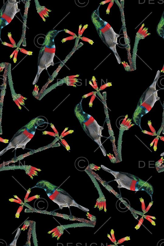 鸟印花华亿平台图片