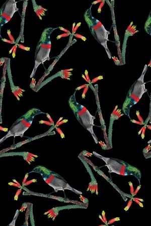 鸟印花华亿平台图片