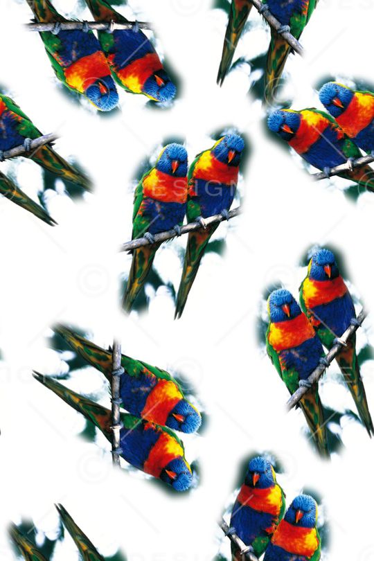 鸟印花华亿平台图片