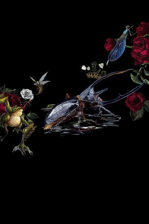 动物花卉印花华亿平台图片