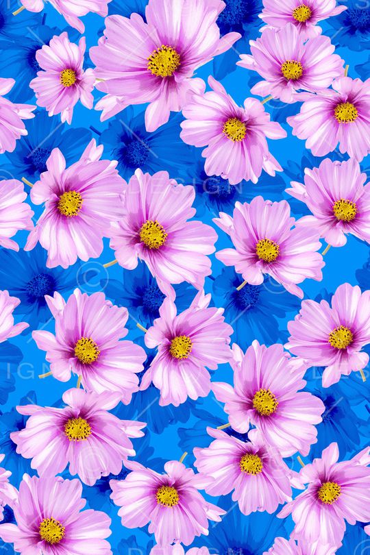 大花印花华亿平台图片