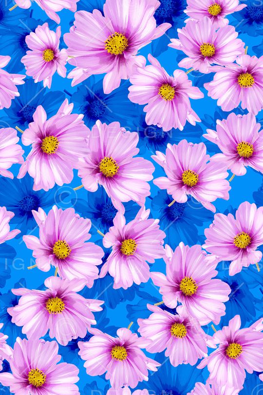 大花印花华亿平台图片