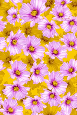 大花印花华亿平台图片