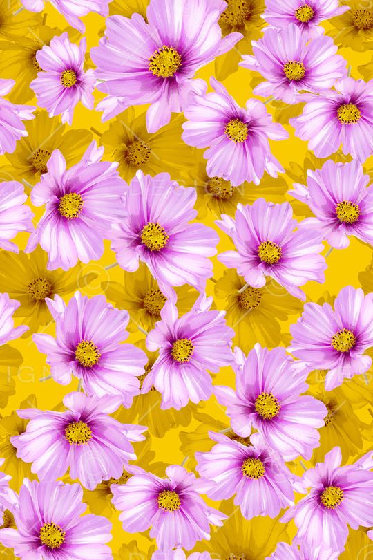 大花印花华亿平台图片