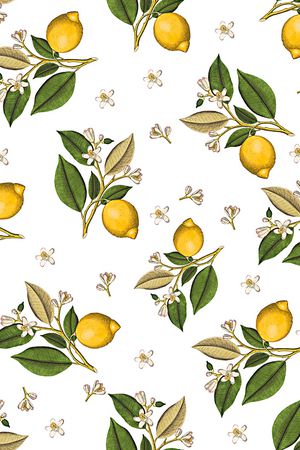 女装印花华亿平台图片