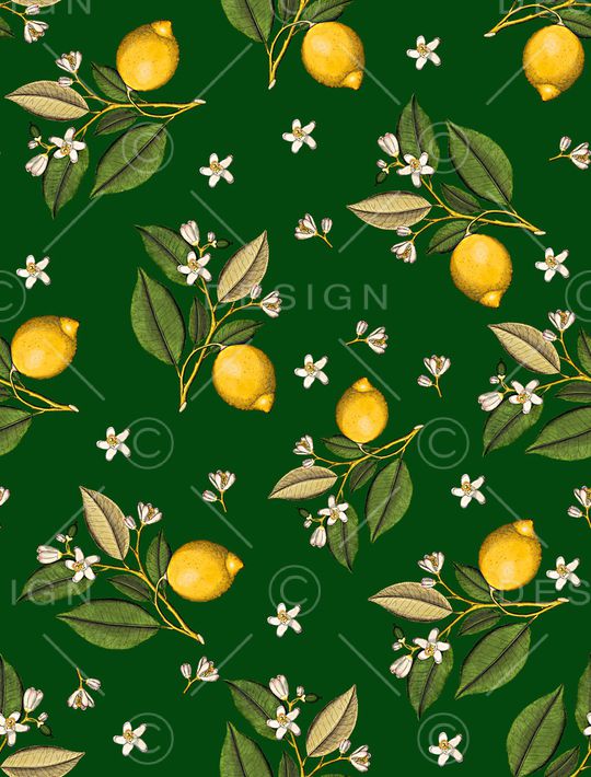 女装印花华亿平台图片