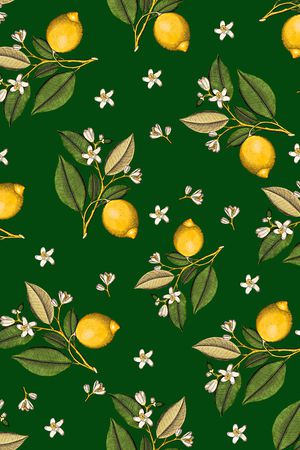 女装印花华亿平台图片